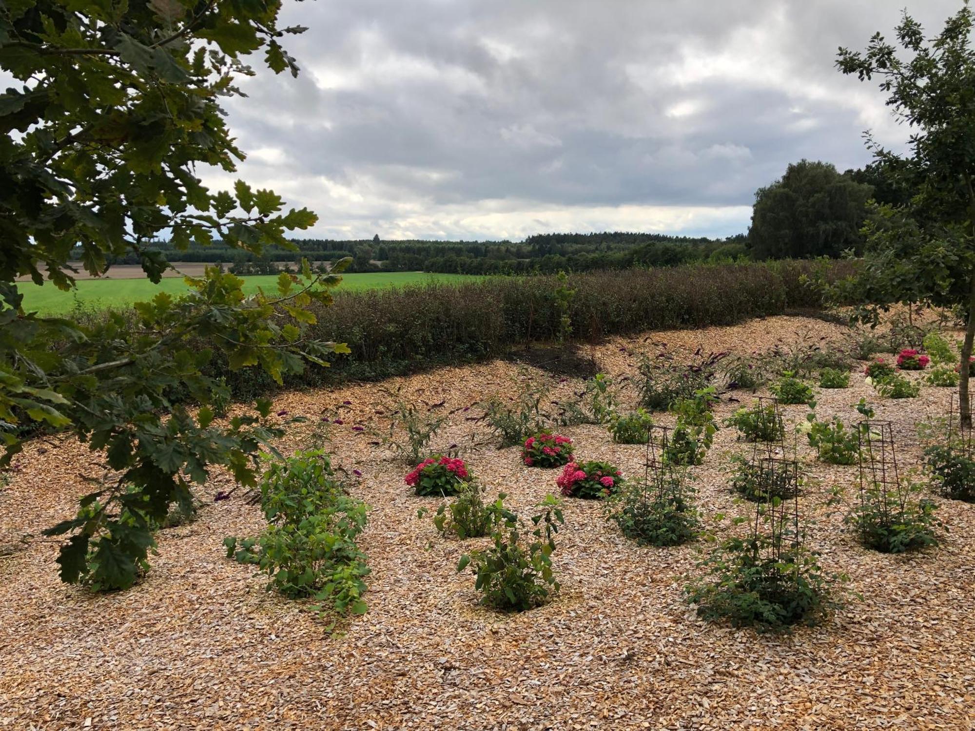 Billund Rooms Bagian luar foto