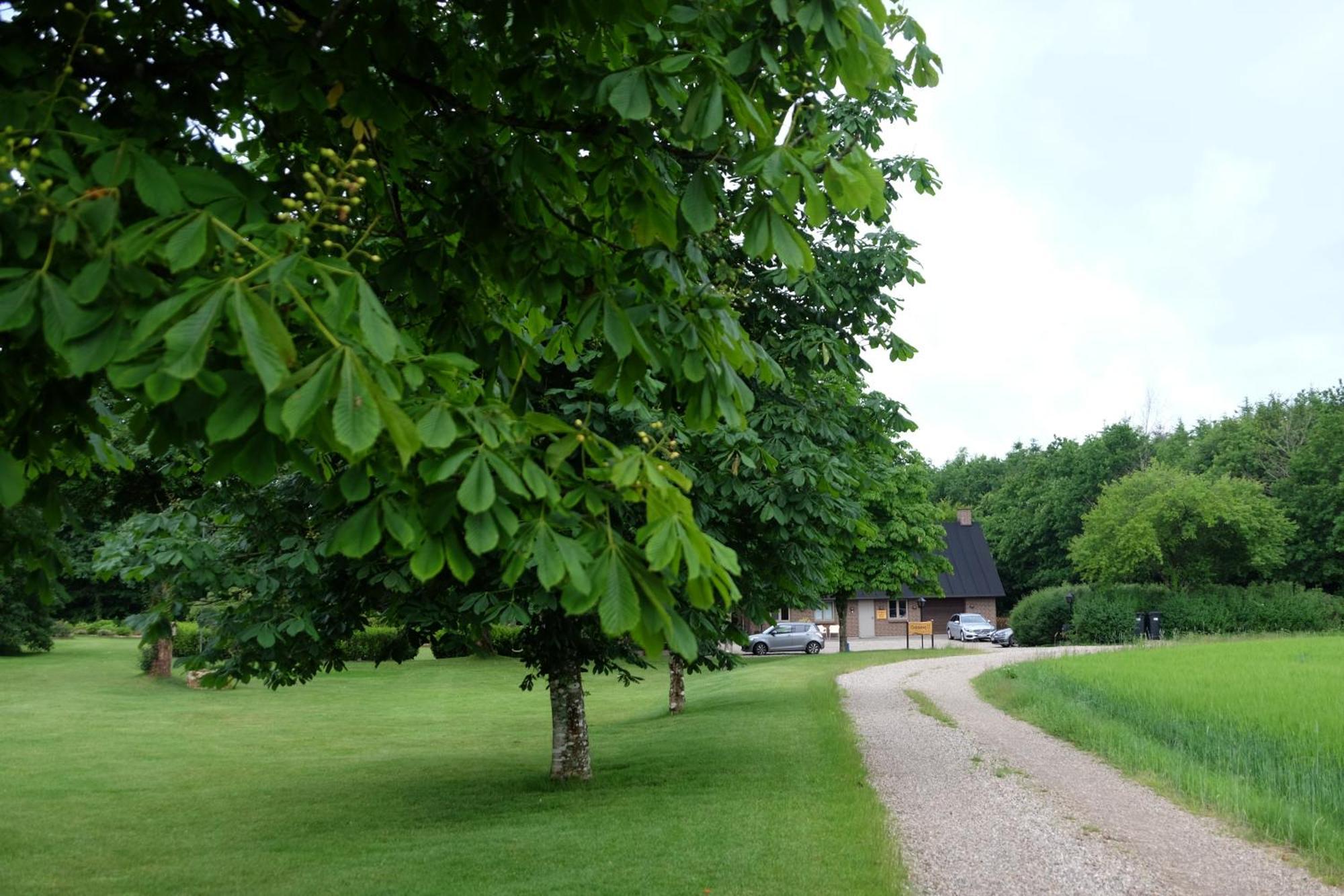 Billund Rooms Bagian luar foto