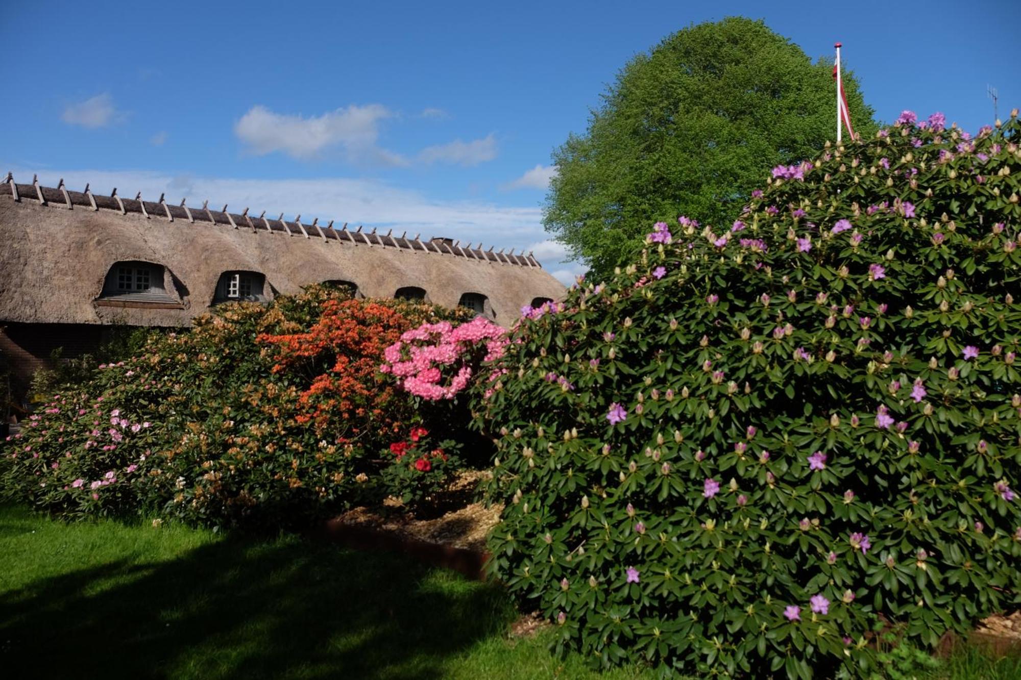Billund Rooms Bagian luar foto