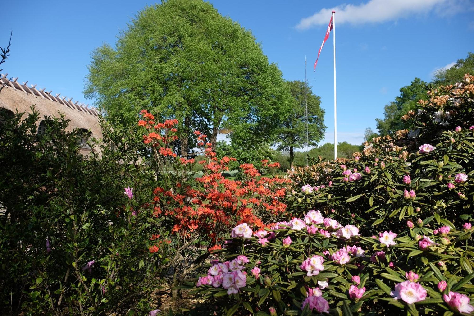 Billund Rooms Bagian luar foto